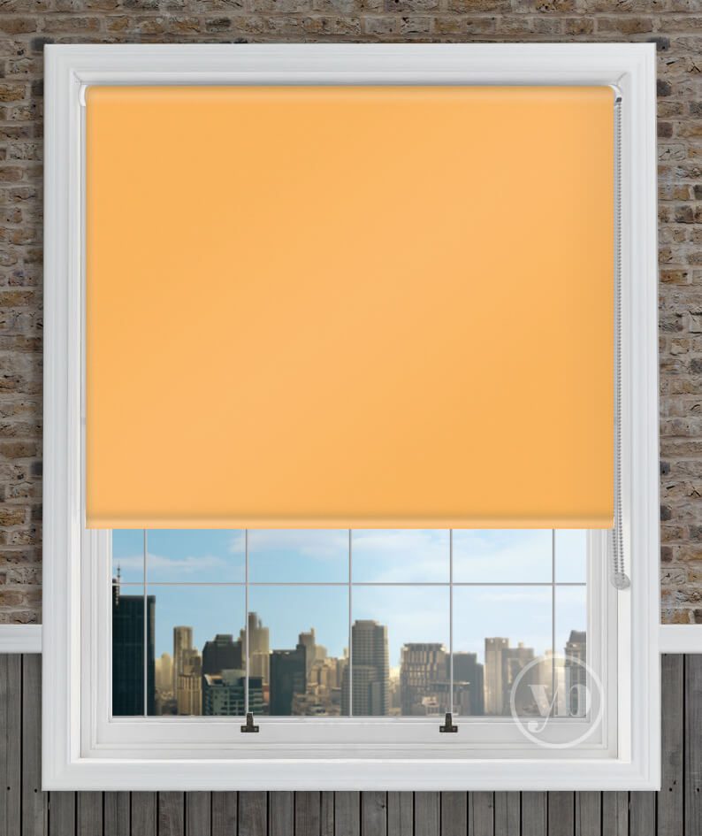 1.Banlight-Duo-FR-Mustard-window