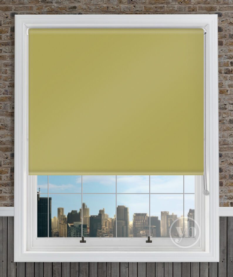 1.Palette-Lime-Green-window