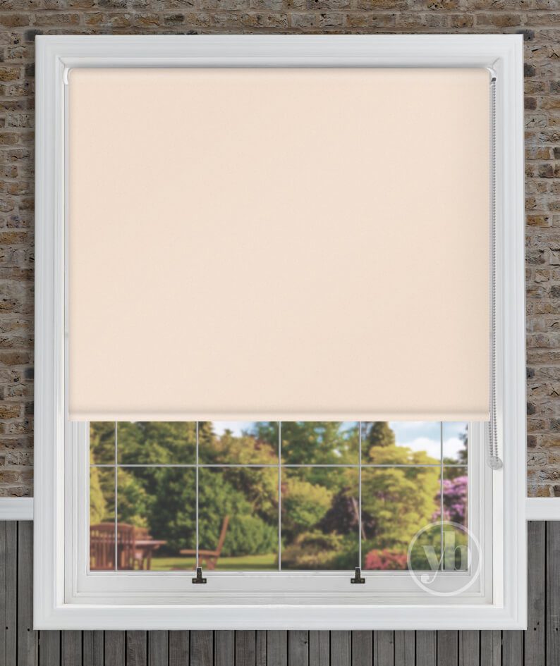 1.Palette-Magnolia-window