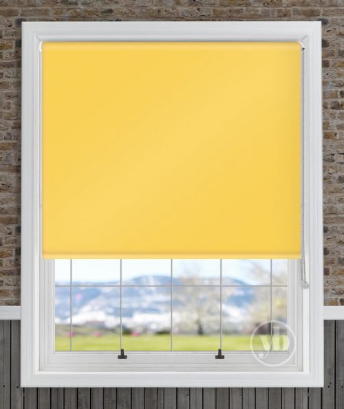 1.Palette-Sunshine-window