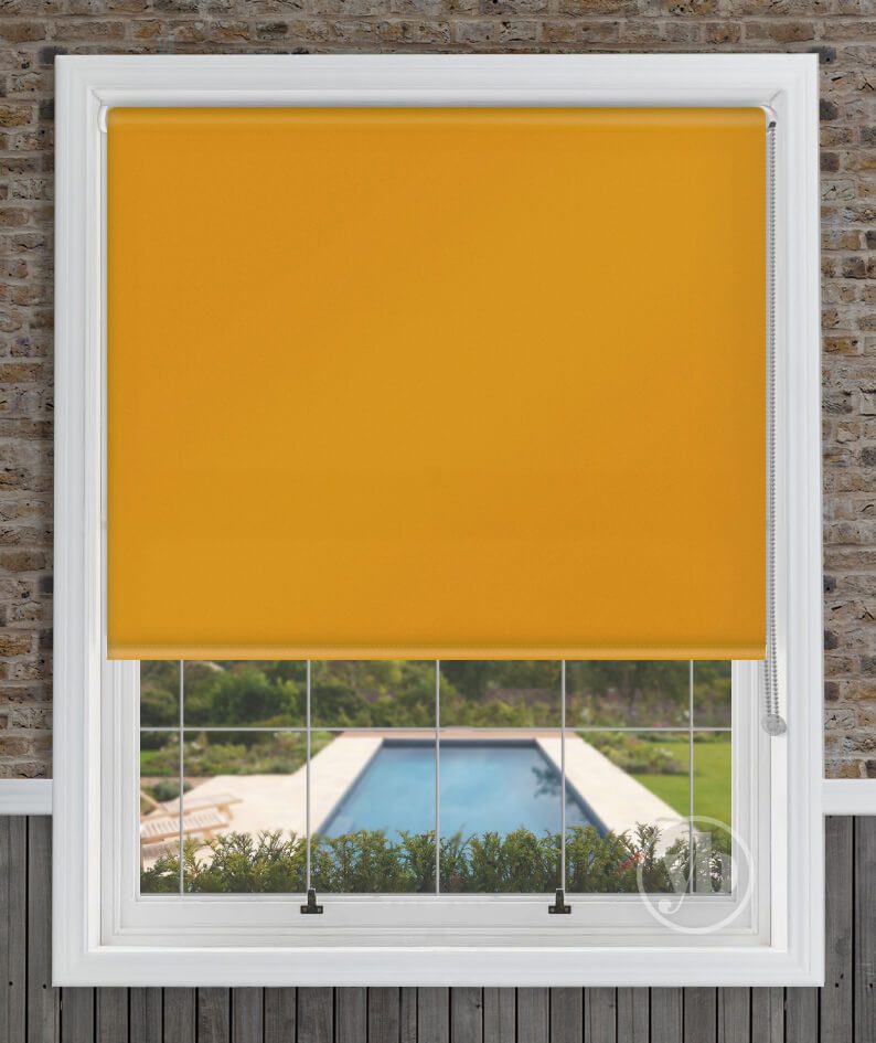 1.Polaris-Mustard-Yellow-window