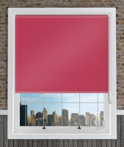 1.Polaris-Pink-Grapefruit-window
