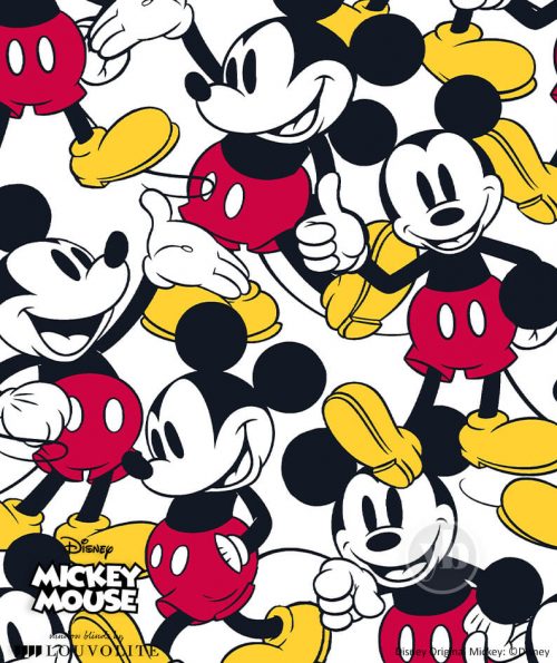 3.Disney-Original-Mickey-small-pattern