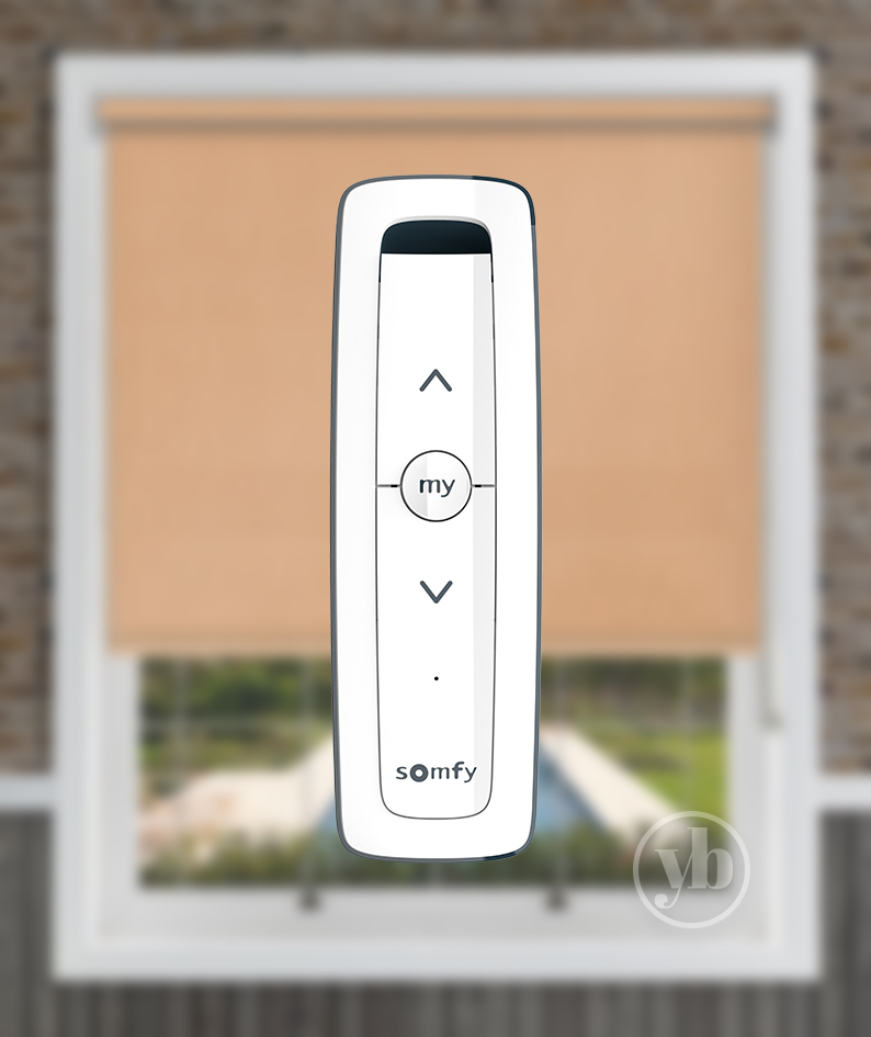 Somfy Situo 1 Pure RTS Remote