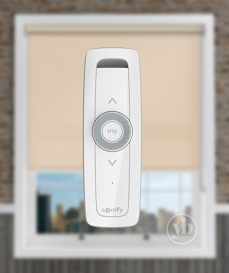 Somfy Situo 1 Scroll Pure RTS Remote