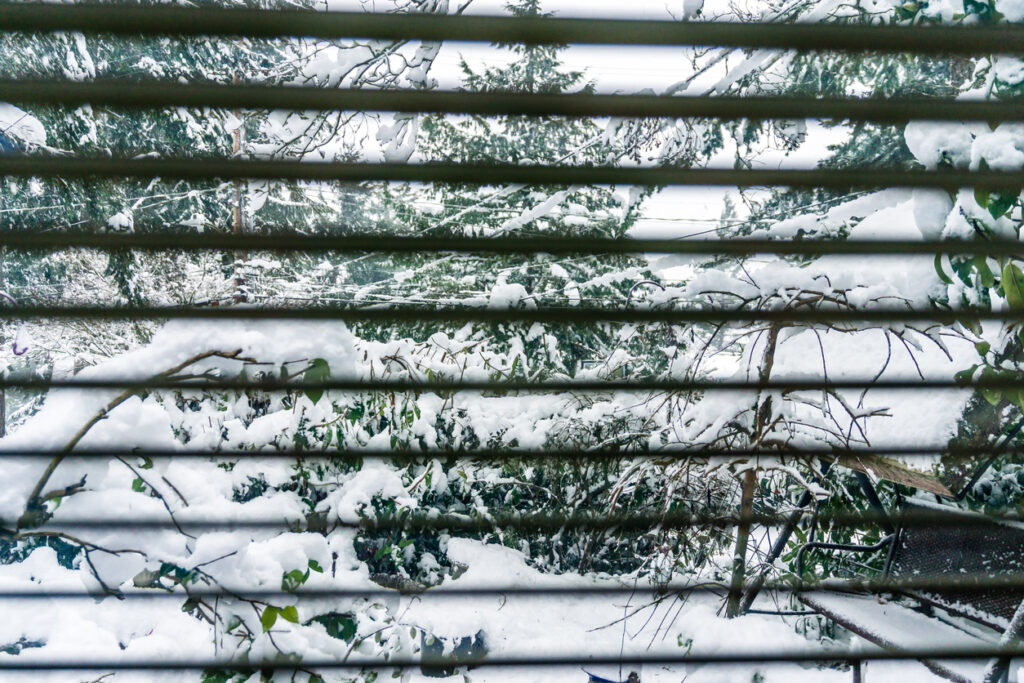 What are the best blinds for winter?